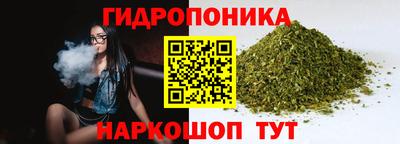 соль ск Брянск