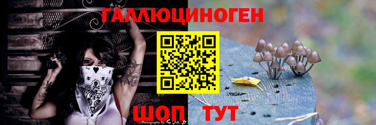 Галлюциногенные грибы Psilocybe  Вход с VPN  Галлюциногенные грибы Psilocybine cubensis  Домодедово 